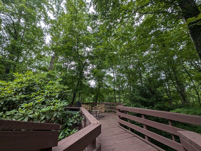 Building Photo - 833 Williamsburg Dr