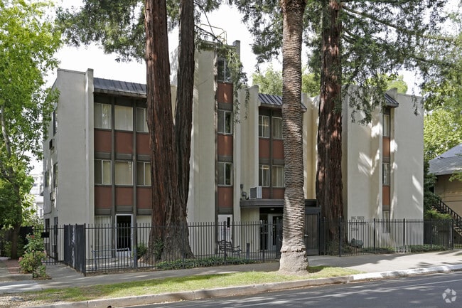 Primary Photo - Big Trees Apartments