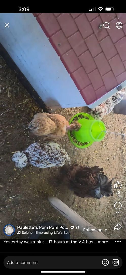 Building Photo - 33244 Churchill St