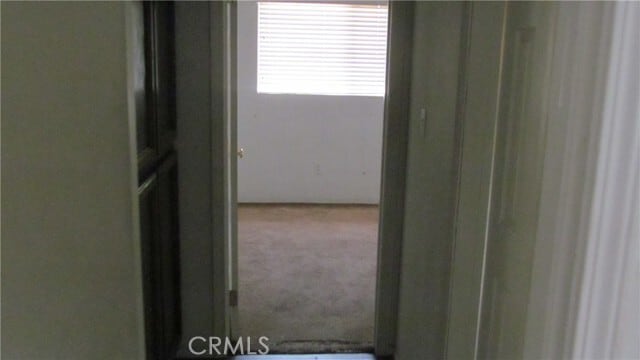 Building Photo - 708 Geneva Ave