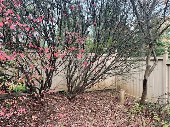 Building Photo - Beautiful home in North Bethesda with atta...