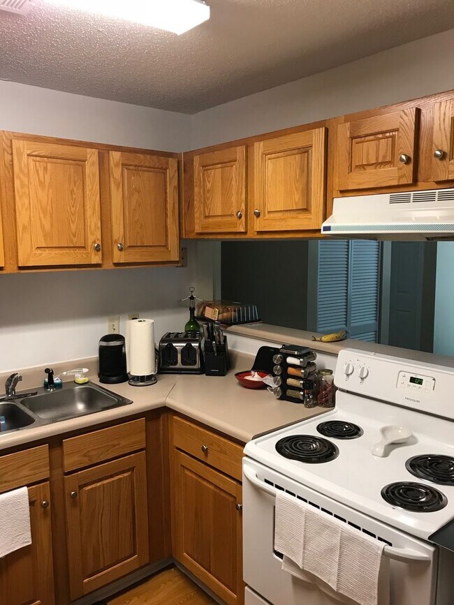 Building Photo - 4 BR/2 BA Apartment in Heart of Athens