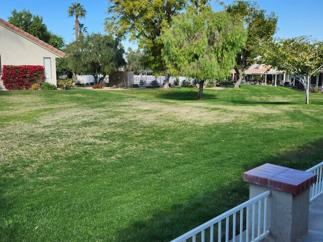 Building Photo - 41705 Palmetto Ln