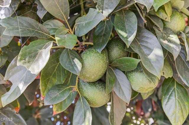 Building Photo - 622 S Evergreen Dr