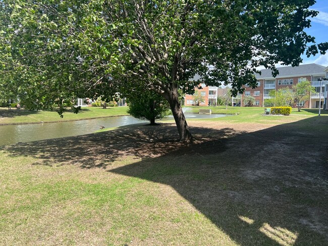 Building Photo - First Floor, End Unit, Two bedroom, Two ba...