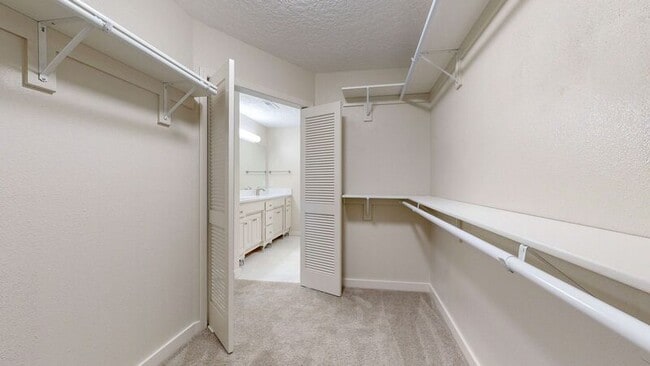 Building Photo - 510 Hogan Ct