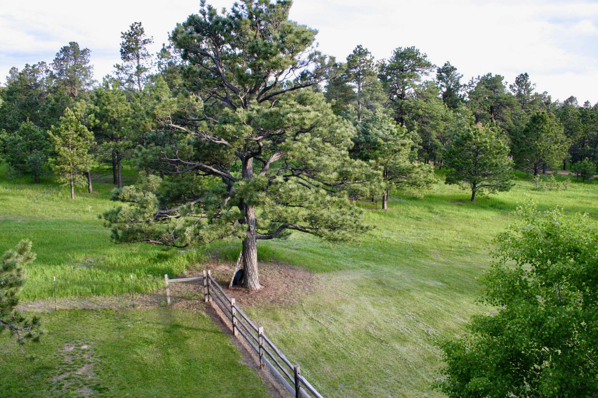 View from sunroom - 15175 E Coachman Dr