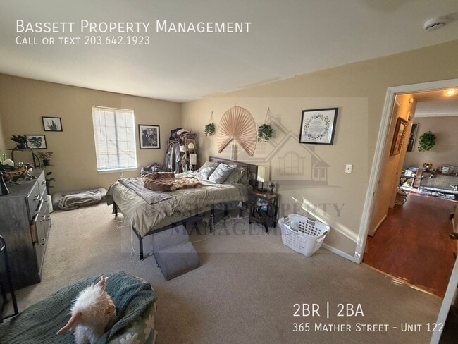 Building Photo - 365 Mather St