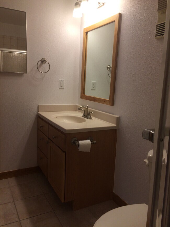Master Bathroom - 3148 29th St