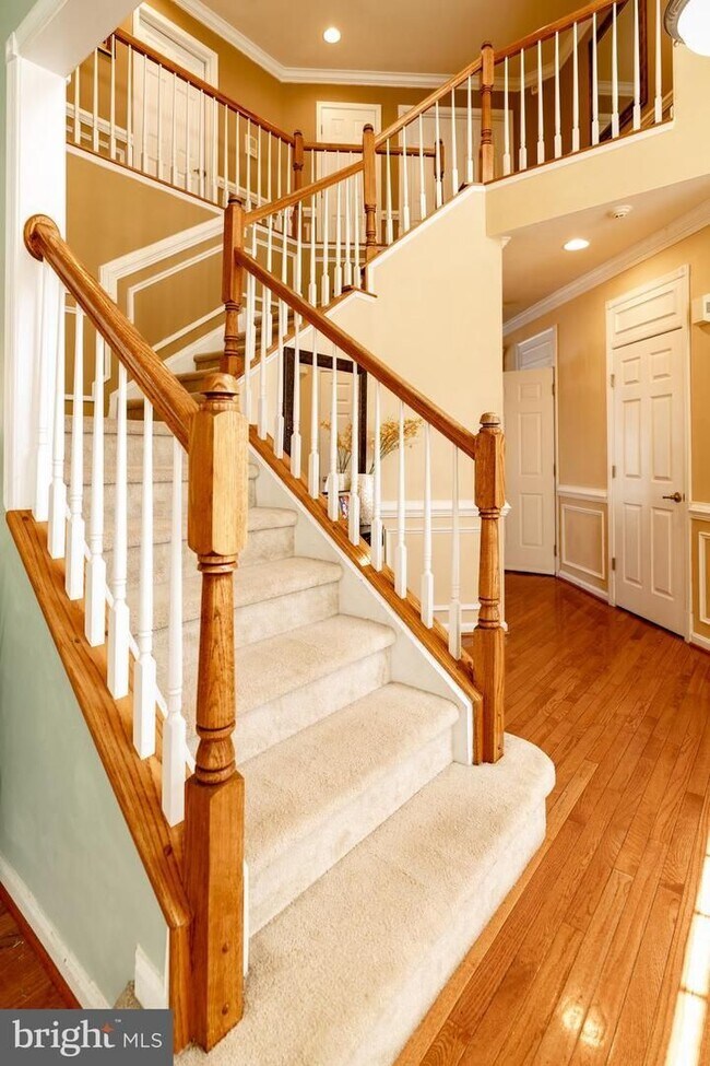 Building Photo - Luxury living in Lorton Valley