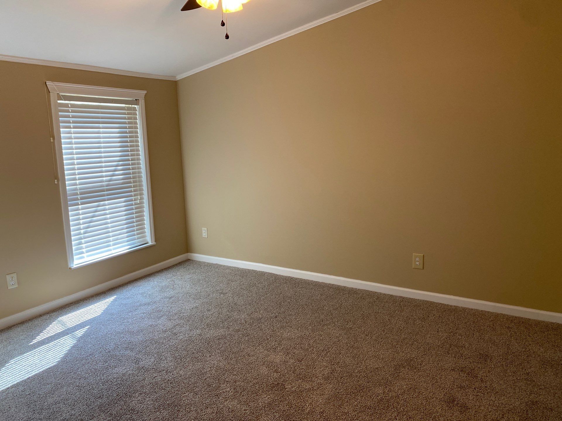 Building Photo - 15 Woodmoss Cv