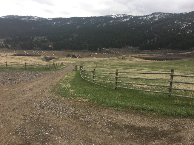 Building Photo - 77 Muir Rd