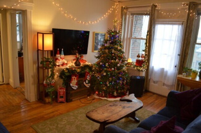 Building Photo - 1 Bedroom in Allston Village, Heat and hot water included