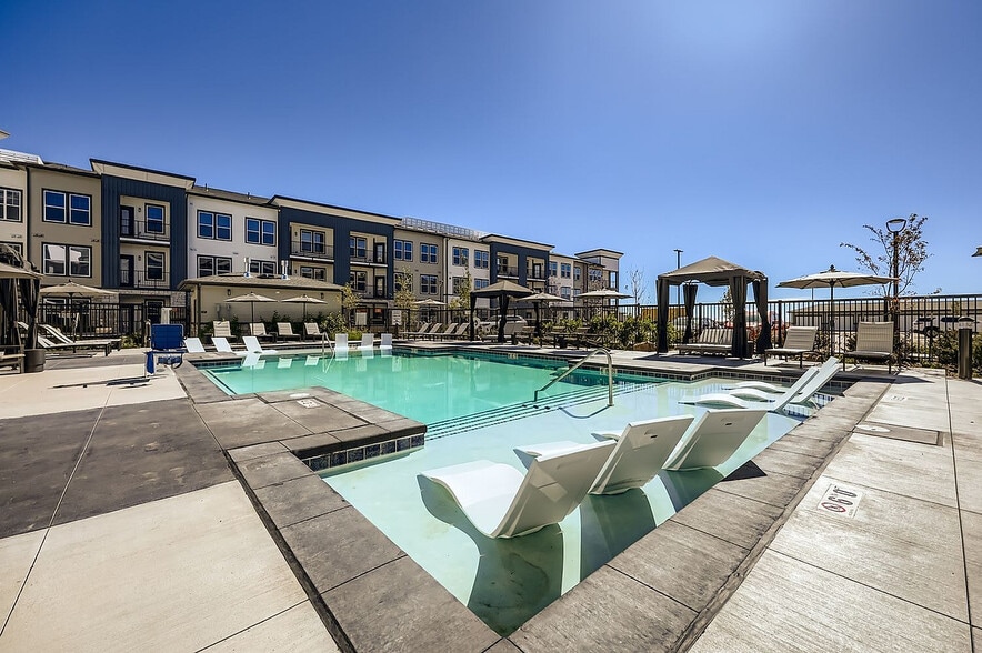 The Citizen on Constitution Pool - The Citizen on Constitution