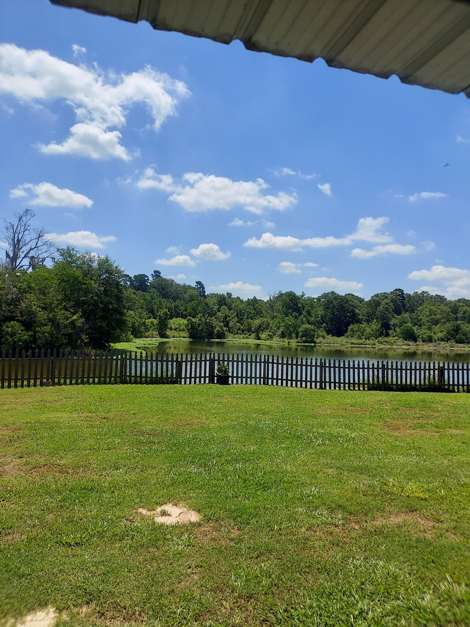 Building Photo - 36044 Raleigh Dr