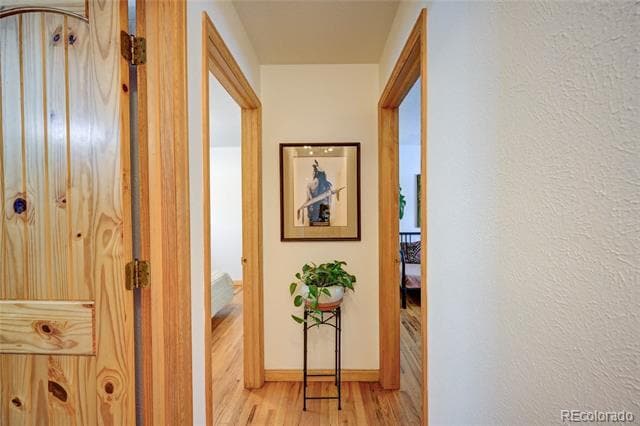 Building Photo - 502 Park Ln