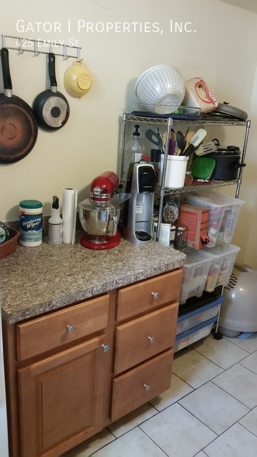 Building Photo - 425 Emily St