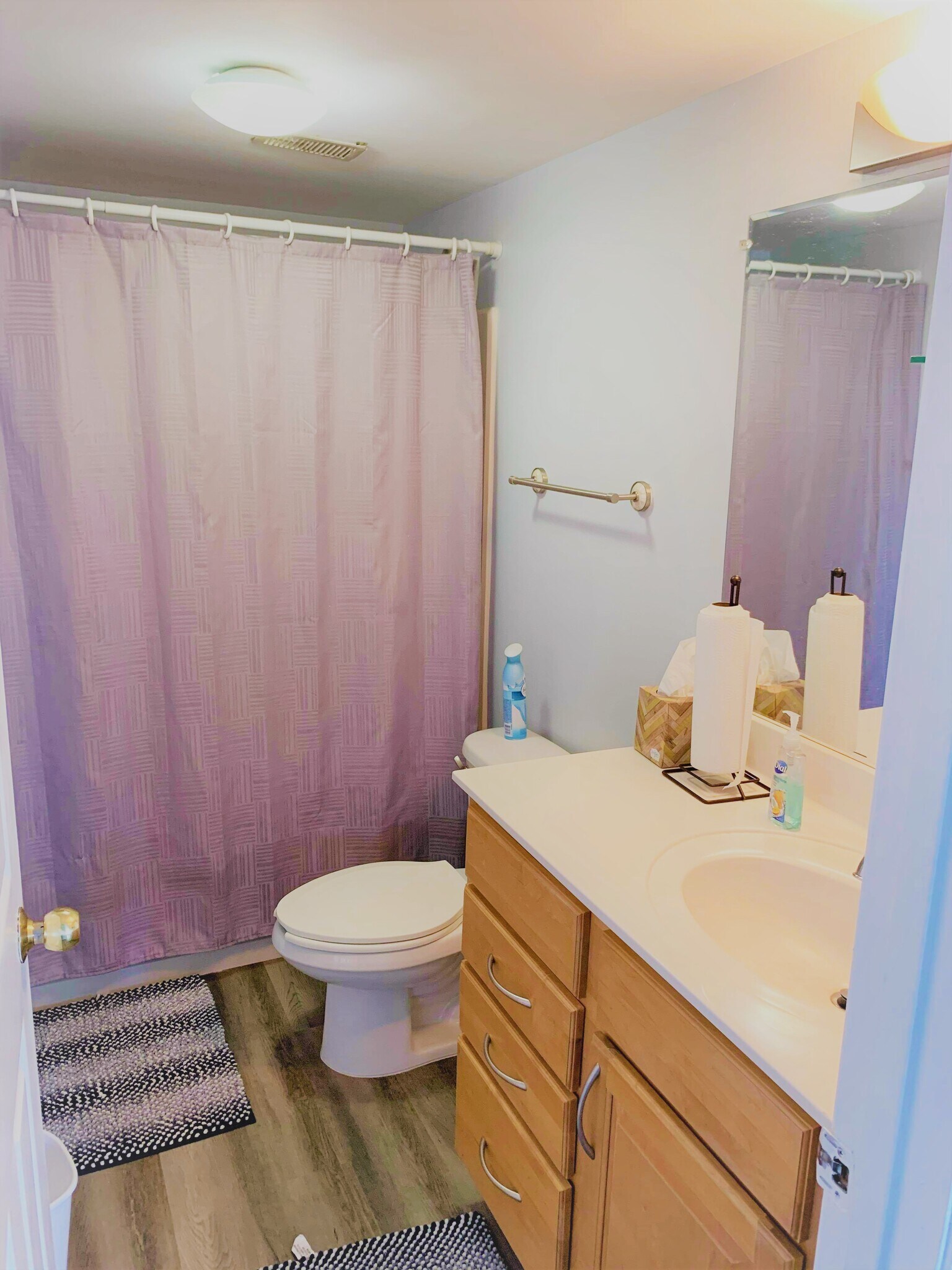 Full Bathroom (1 of 2) - 795 Hammond Dr