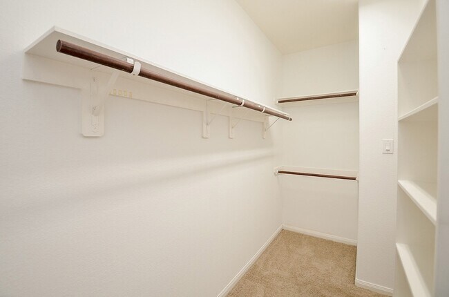 Building Photo - 4815 Addison Forest Trail