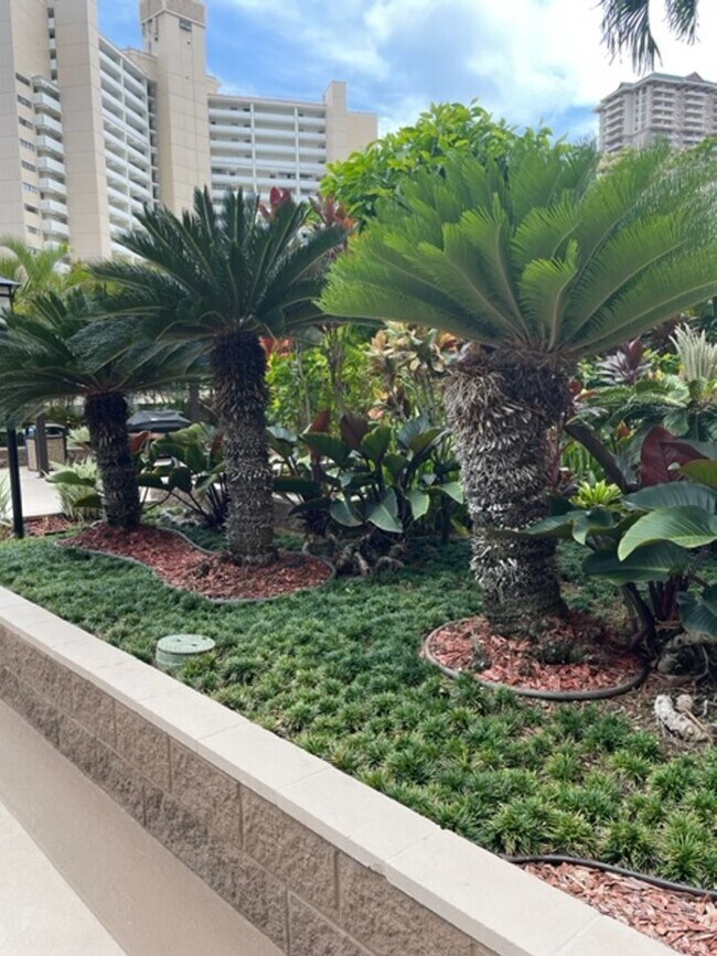Building Photo - Available on 8/1/25, 600 sqft, 1 Bedroom, ...