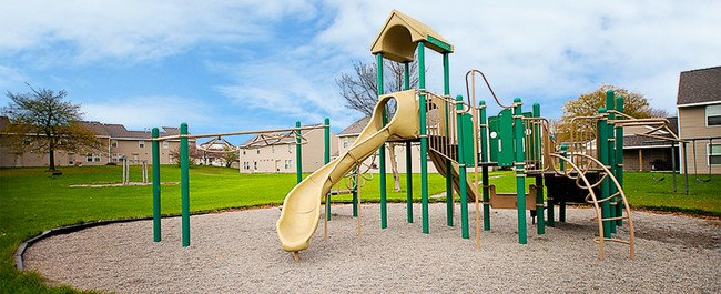 Playground Facilities - Forest Hills