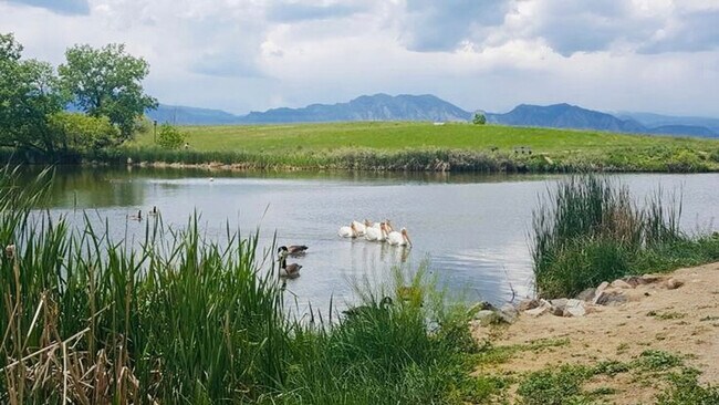 Building Photo - 3112 Rock Creek Dr