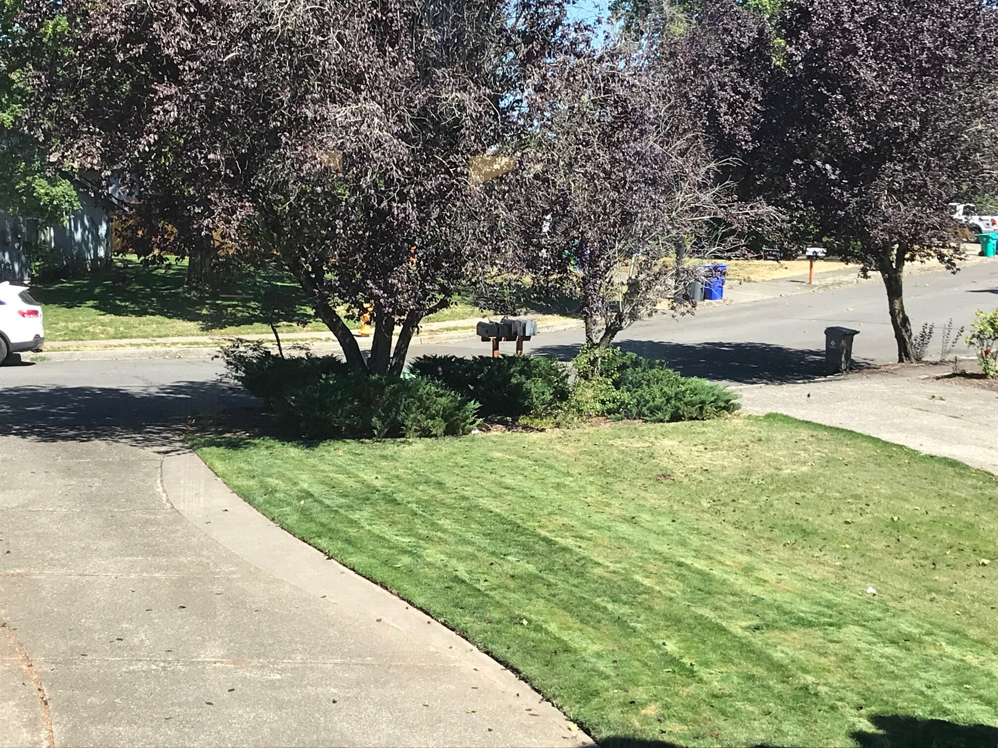 View out front window - 1237 SE Olvera Pl