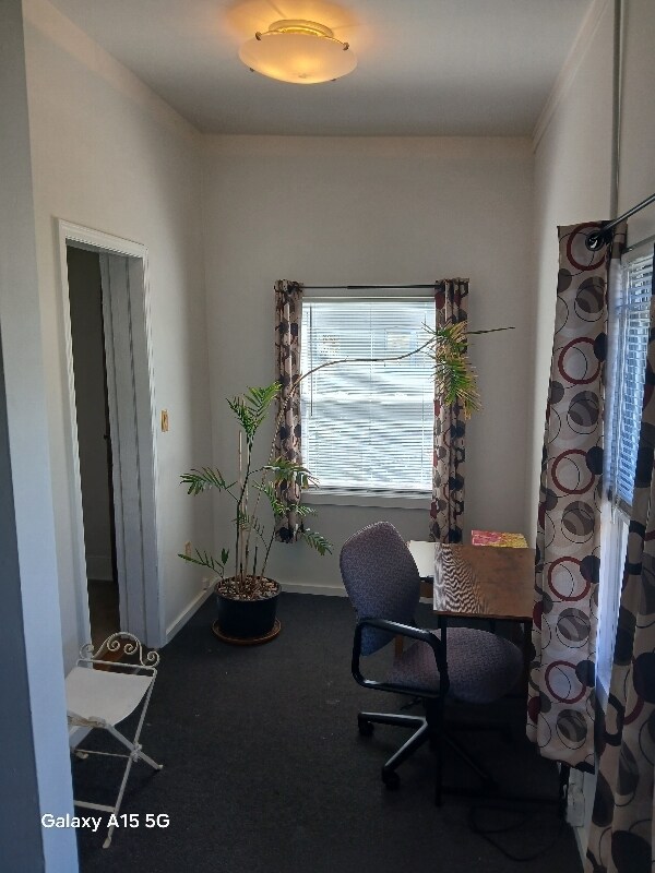 Building Photo - 318 Clifton Blvd