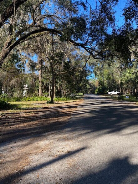 Live oak canopy on your new street - 3812 SW 15th St