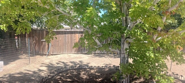 Building Photo - Updated 3 bedroom with A/C and Yard