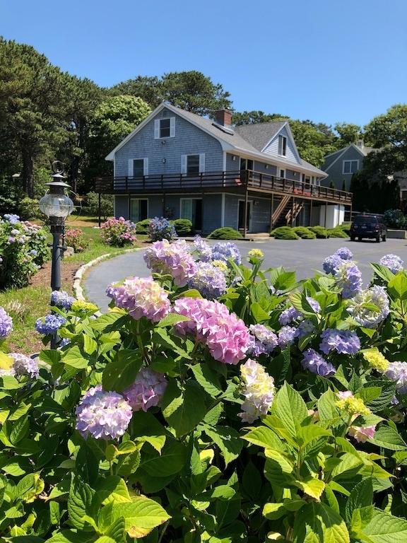 Primary Photo - 4 bedroom in Harwich MA 02645