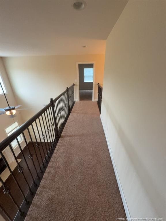 Building Photo - 3909 Doon Valley Dr