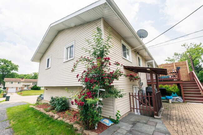 Building Photo - 490 Amherst Ln