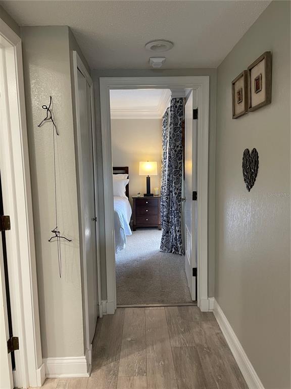 Building Photo - 36750 US Hwy 19 N