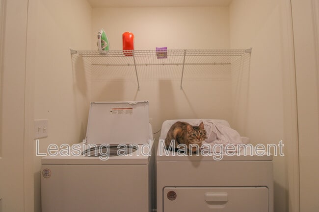 Building Photo - 507 Scarlett Maple St