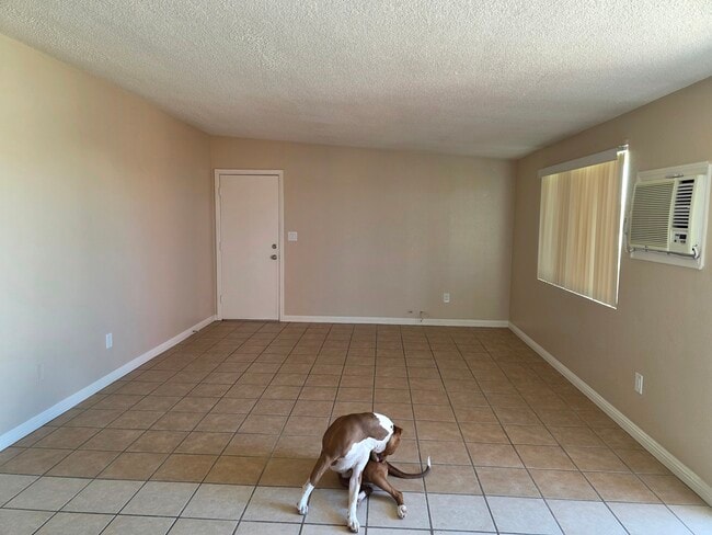 Building Photo - 6553 Desert Queen Ave