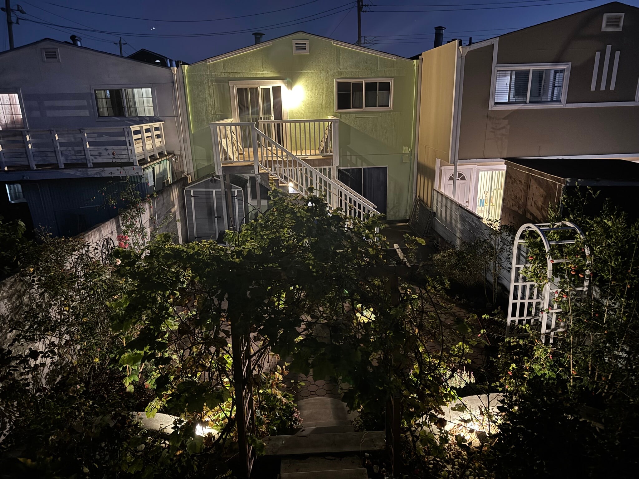 Backyard - 577 Price St