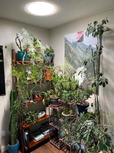 Building Photo - 1925 W Plum St