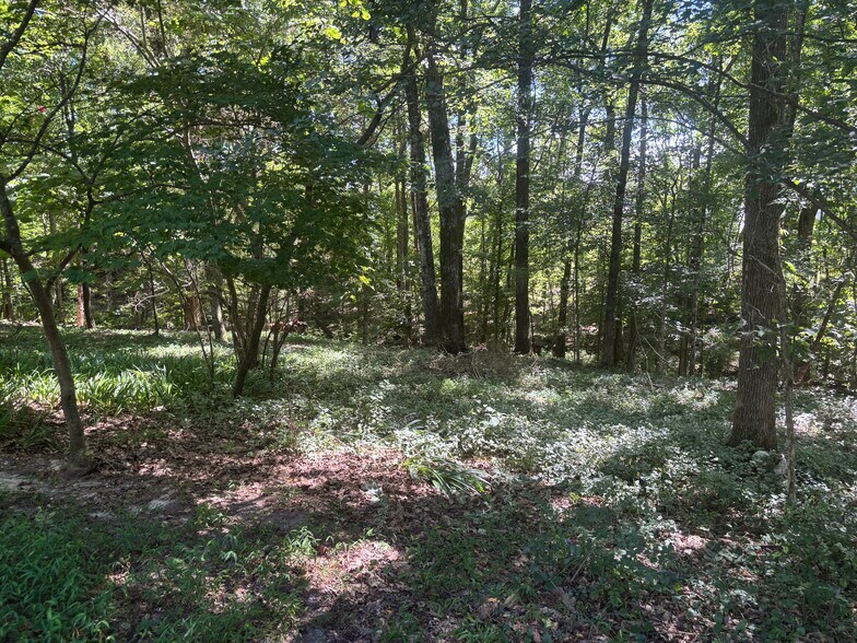 1 acre of woods. Private back yard. - 705 Alcovy Forest Dr