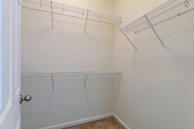 Building Photo - 3 Bedroom 2 Bathroom Live Oak - Richmond Hill