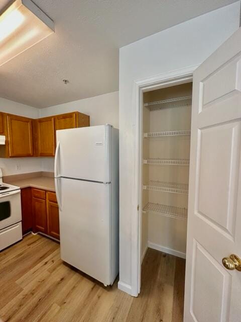 Building Photo - 209 Swaying Pine Ct