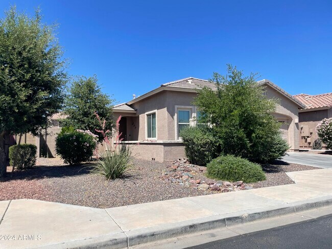 Primary Photo - 3822 E Desert Broom Dr