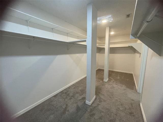 Building Photo - 3152 Pine Valley Dr