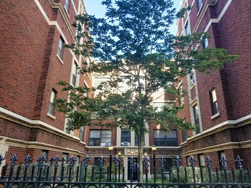 Building Photo - 1060 W Granville Ave