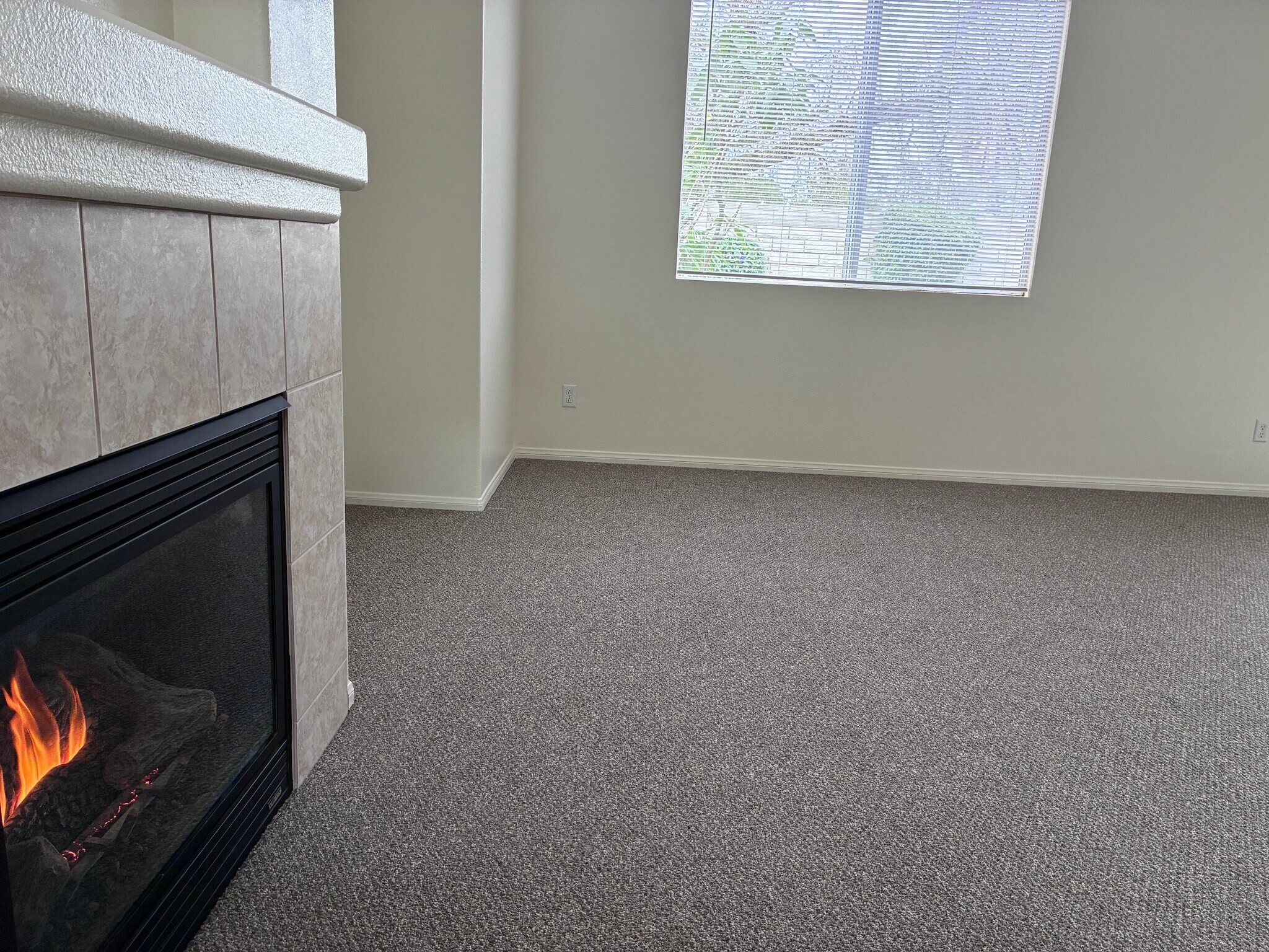 Building Photo - 1617 Norton St