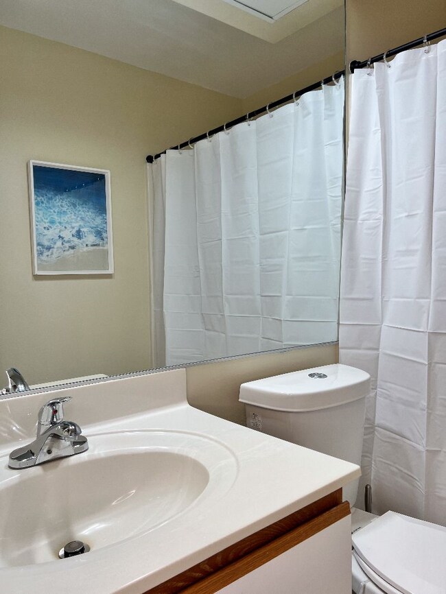 Hall Full Bath: Shower/Tub - 704 Rapidan River Ct