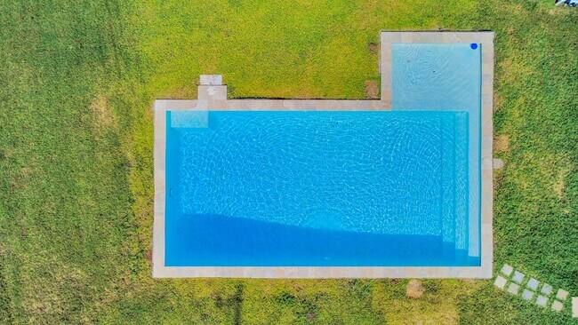 Building Photo - 2931 Palm Oaks Trail