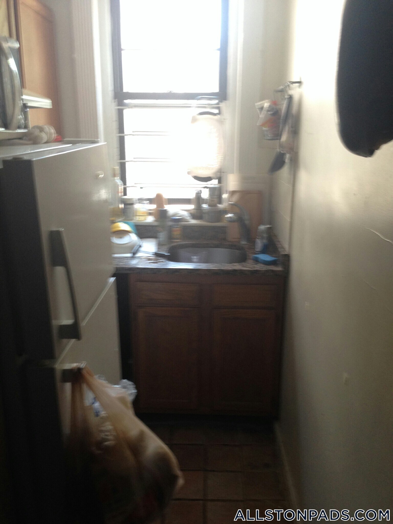 Building Photo - 1412 Commonwealth Ave