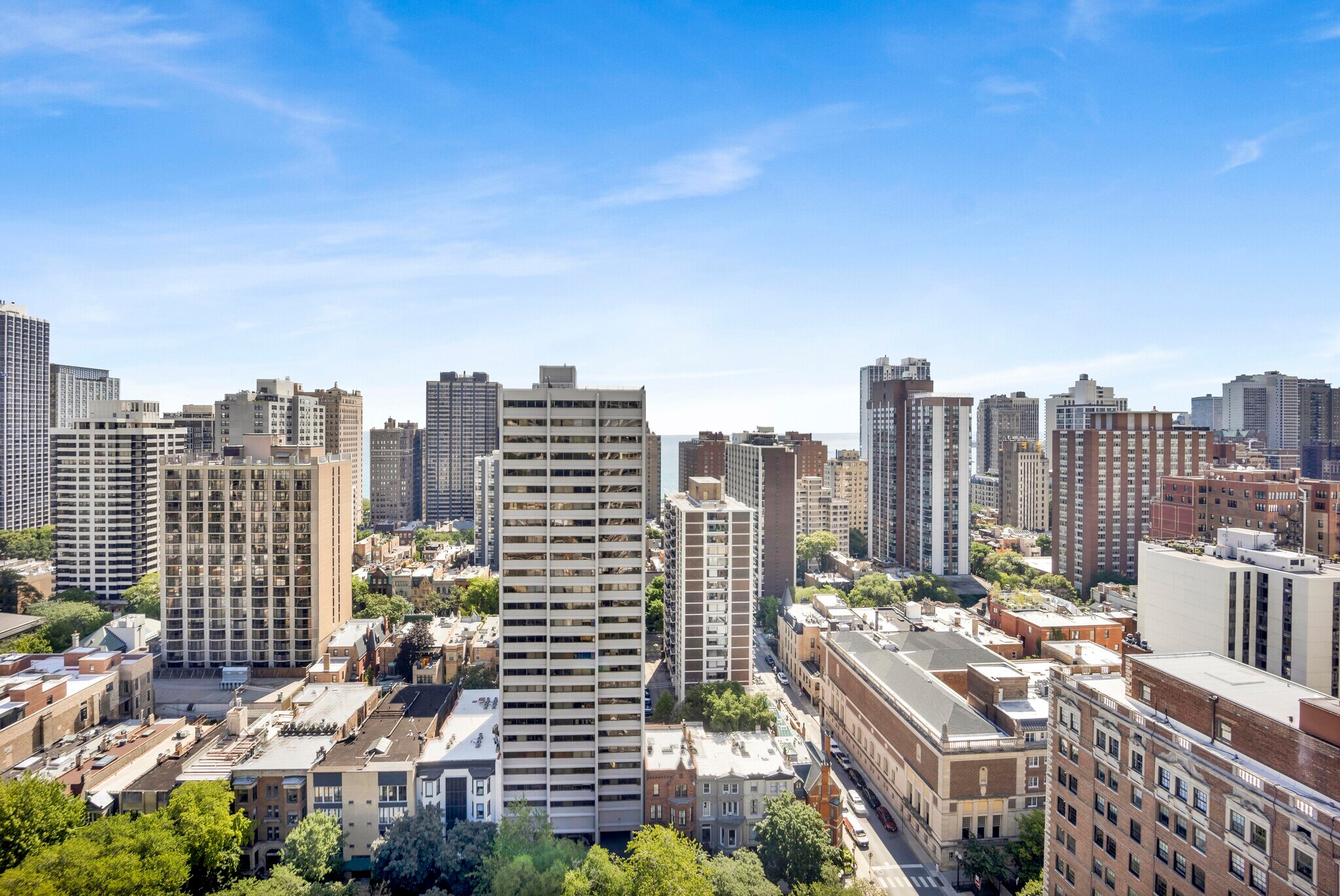 View from the unit - 88 W Schiller St