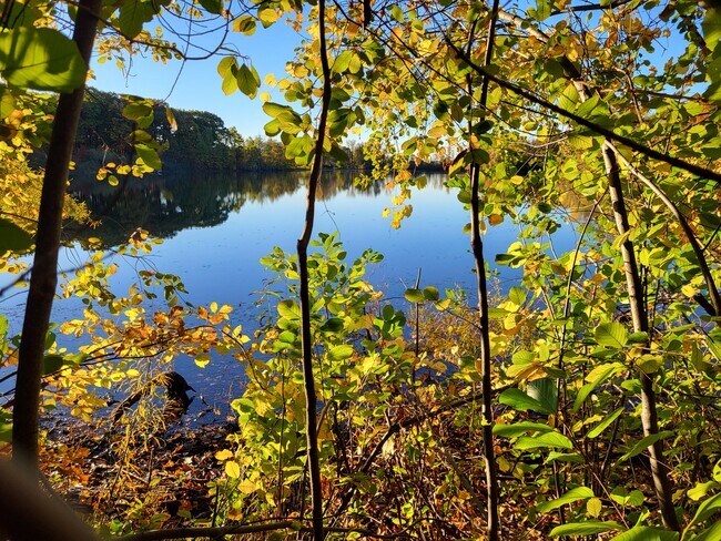 Building Photo - 11719 21 Mile Rd